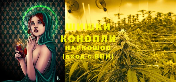 spice Надым