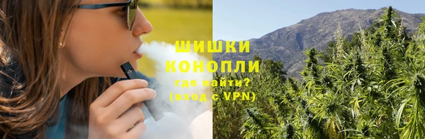 spice Надым