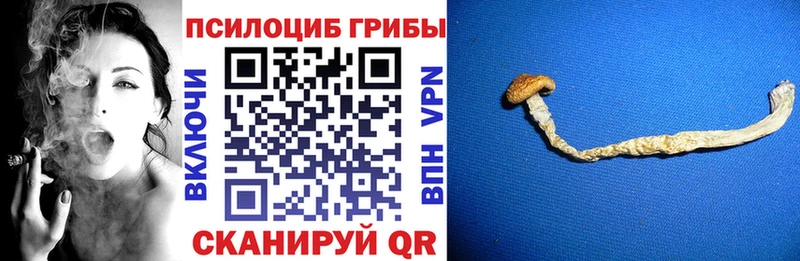 гидра онион  Кизел  Галлюциногенные грибы Magic Shrooms 